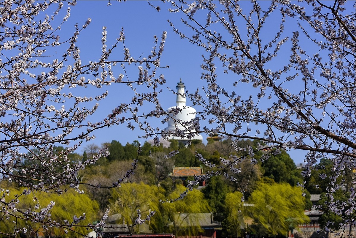 2024年第0655贴-北海公园纪实拍（0830）