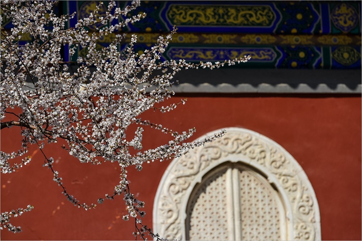 2024年第0655贴-北海公园纪实拍（0830）