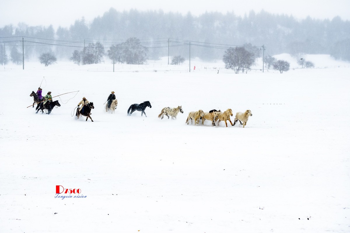 策马奔腾（35）