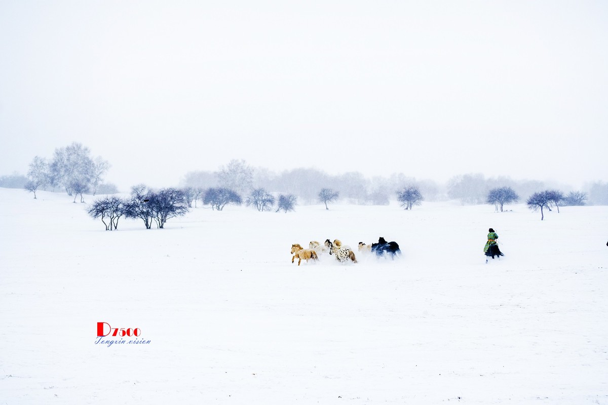 策马奔腾（35）