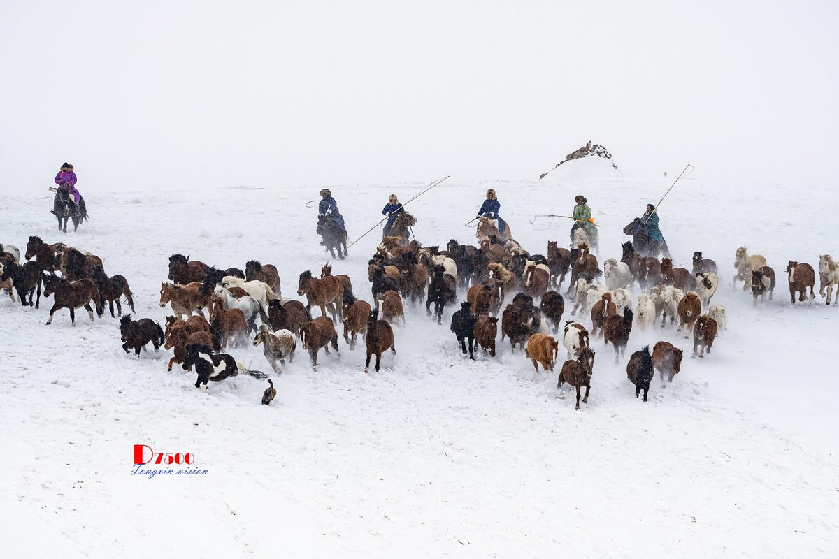 策马奔腾（35）
