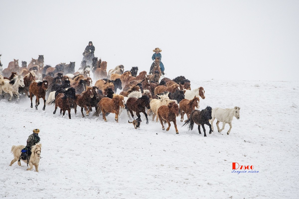 策马奔腾（35）