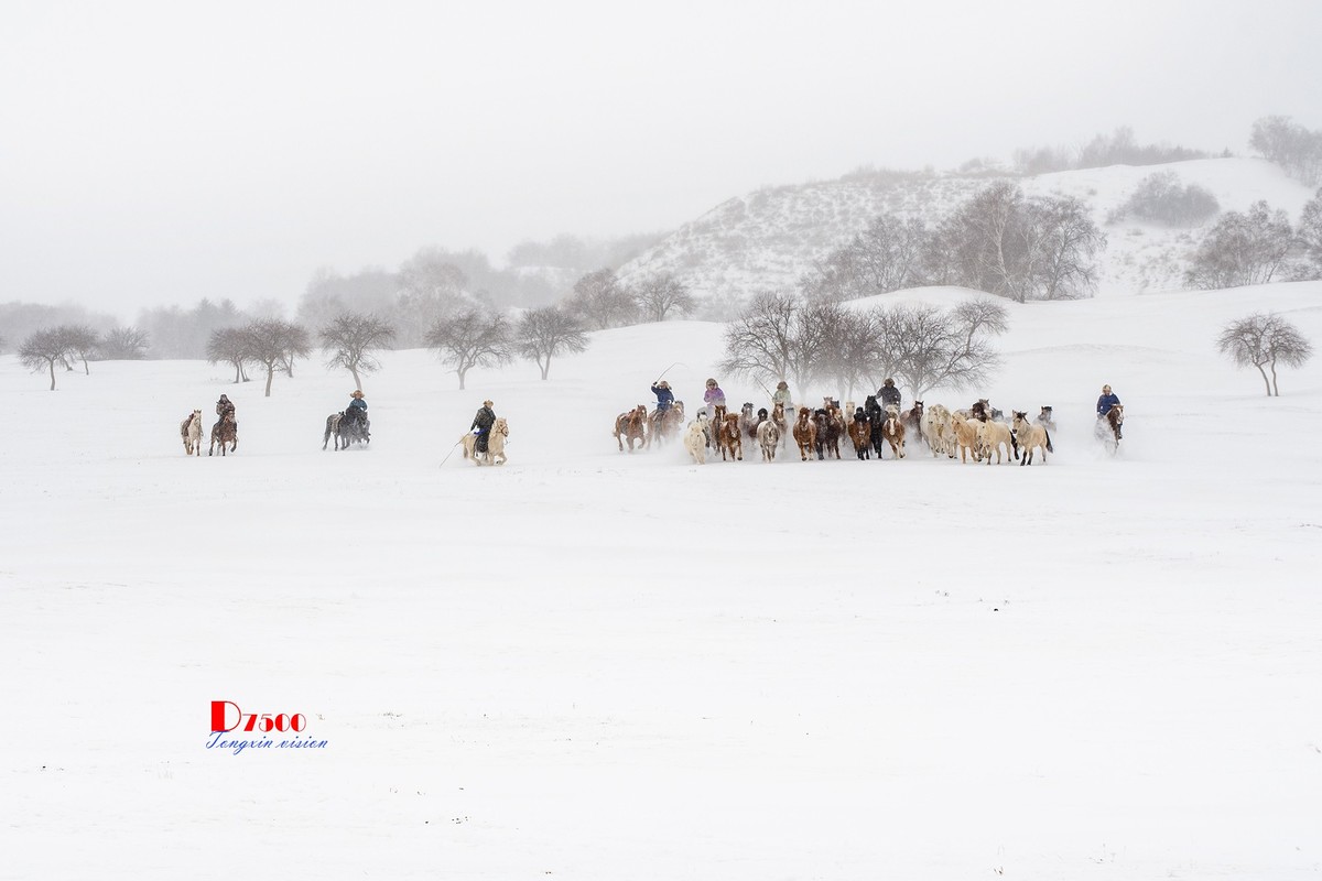 策马奔腾（35）