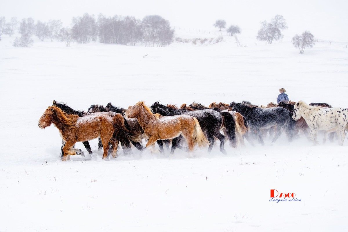策马奔腾（35）