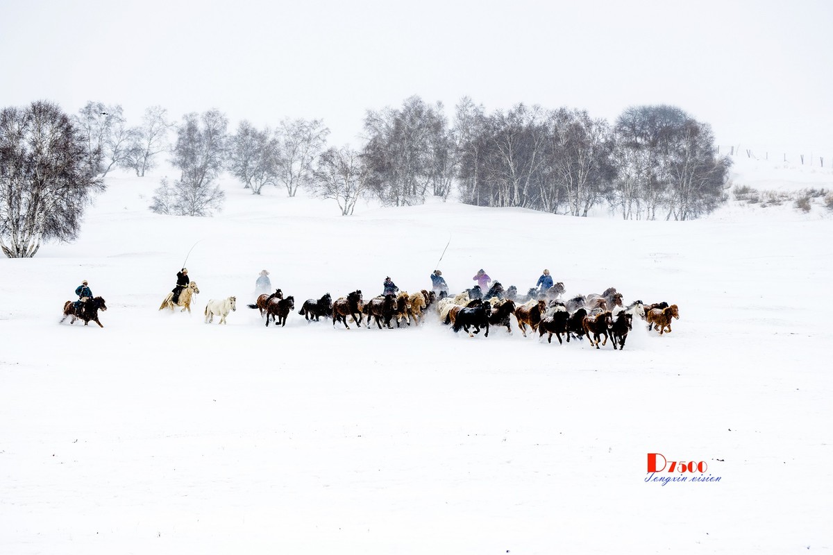 策马奔腾（35）