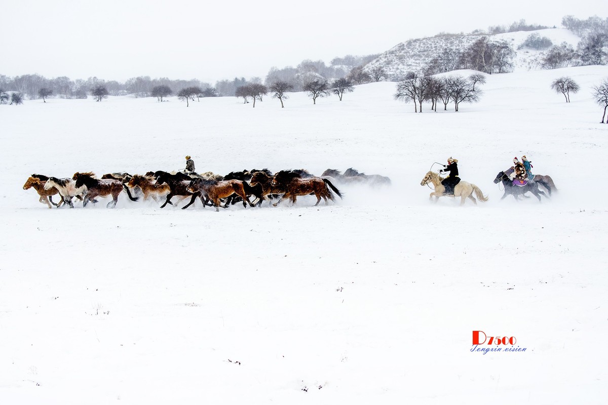 策马奔腾（35）