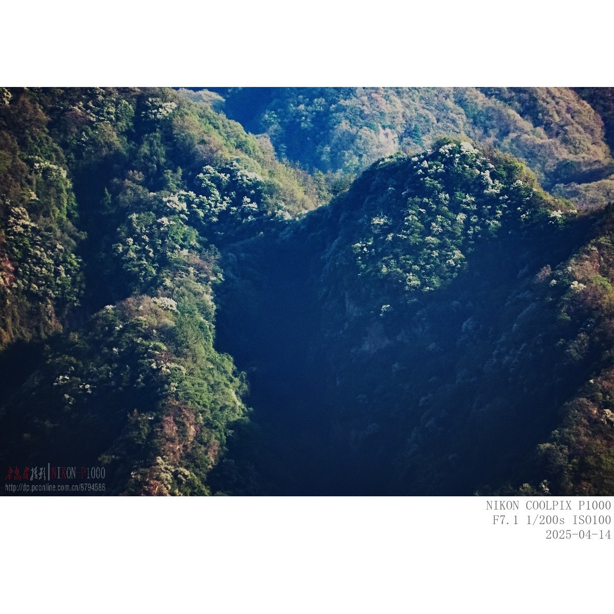 遥拍秦岭鸡峰山（直线距离10Km）