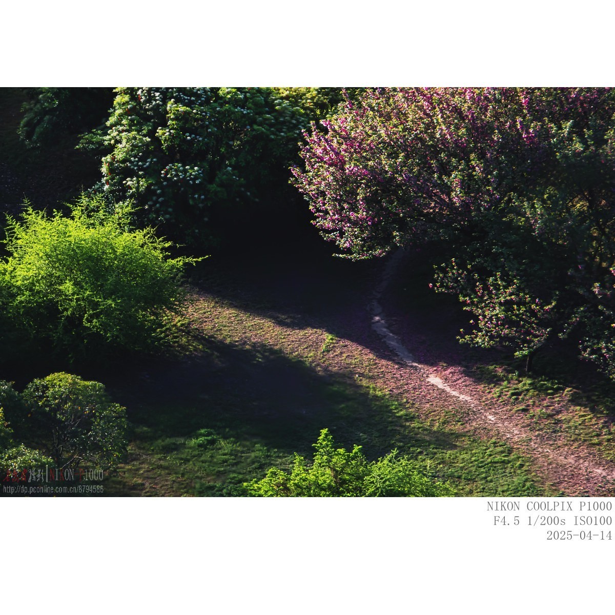 遥拍秦岭鸡峰山（直线距离10Km）