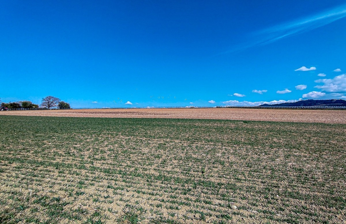春游骑行拍摄（莱茵平原）