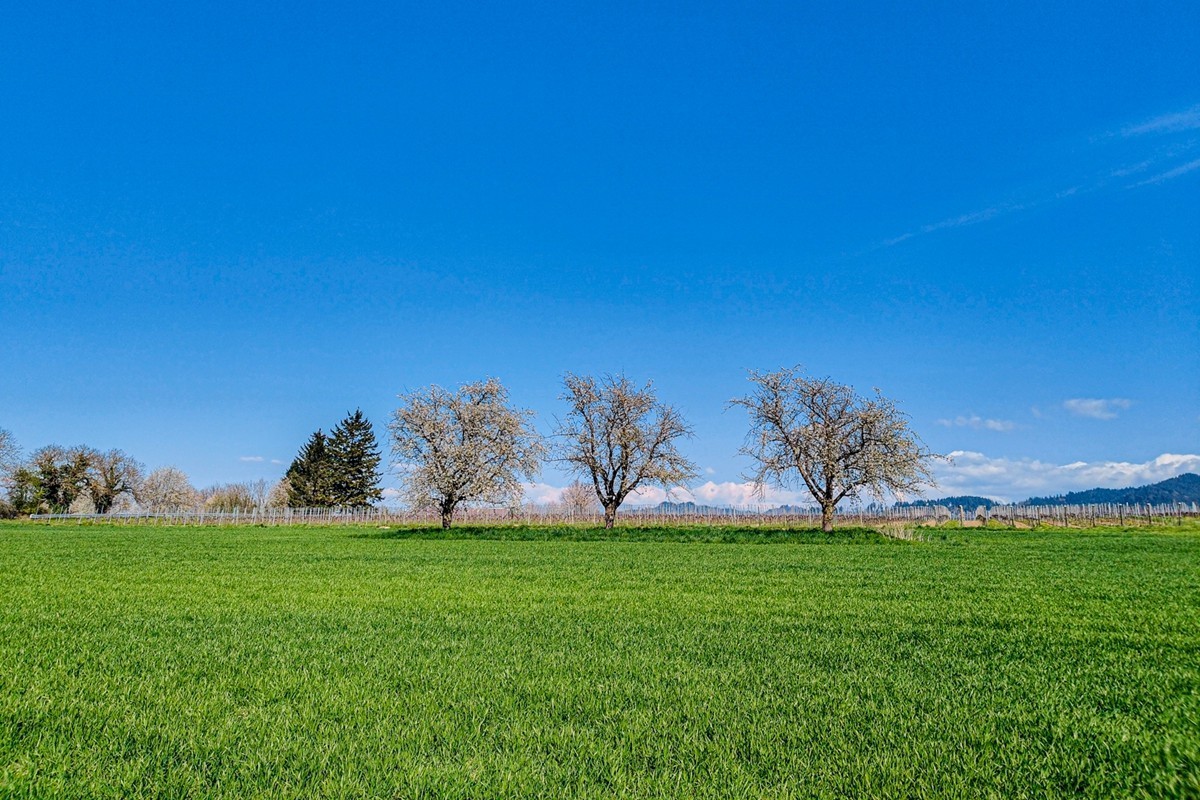 春游骑行拍摄（莱茵平原）