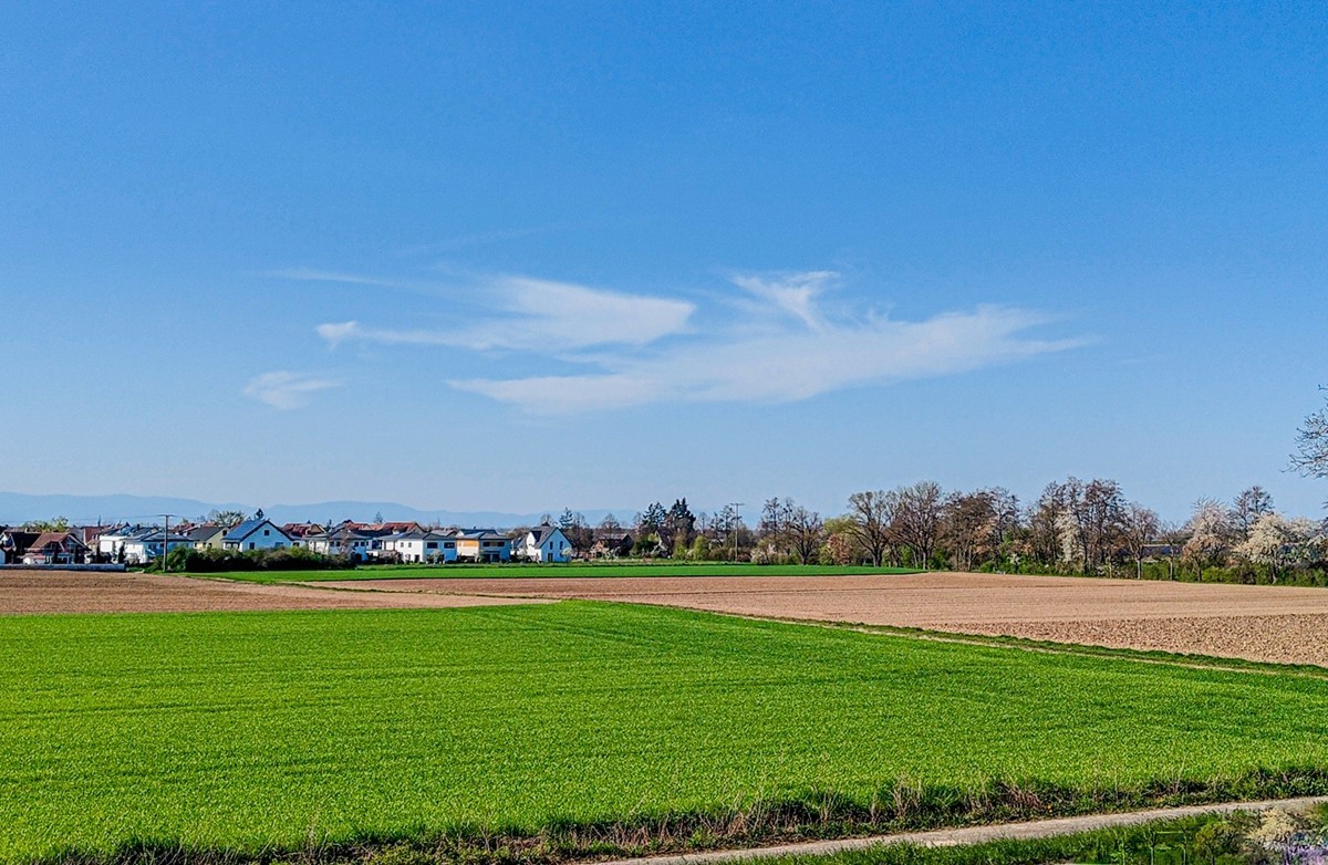 春游骑行拍摄（莱茵平原）