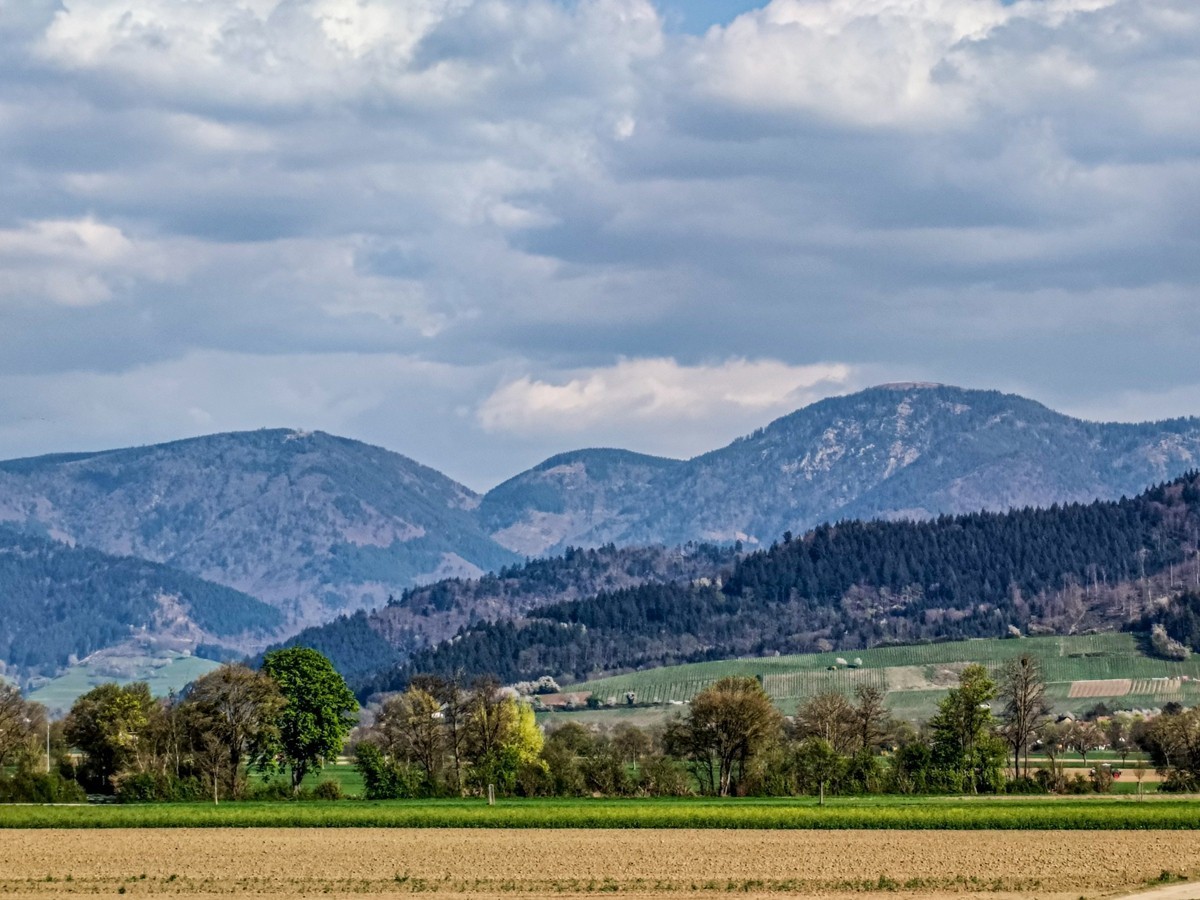 春游骑行拍摄（莱茵平原）