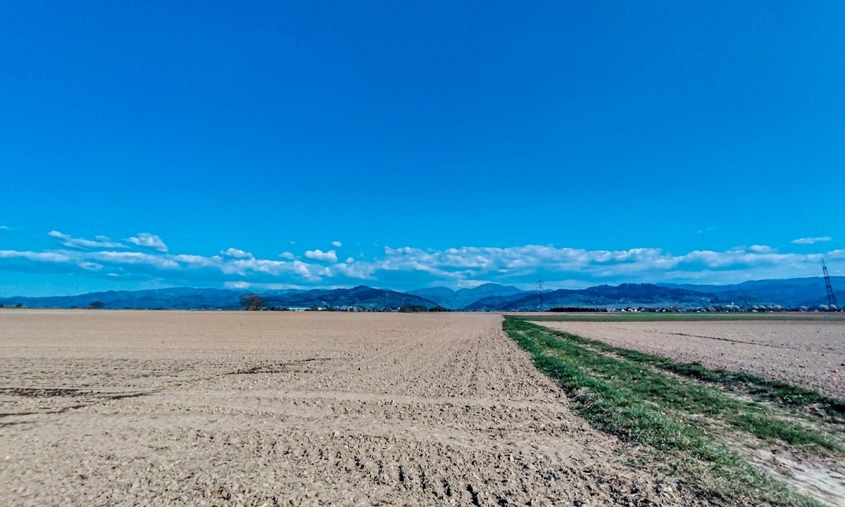 春游骑行拍摄（莱茵平原）