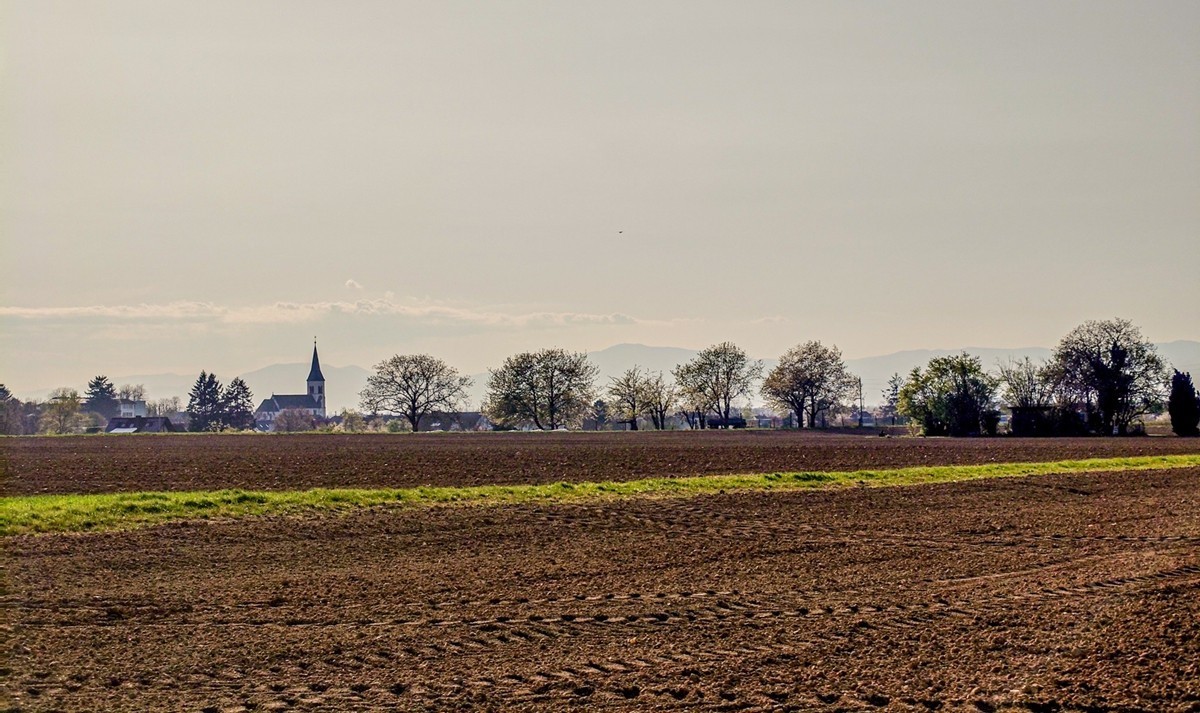 春游骑行拍摄（莱茵平原）