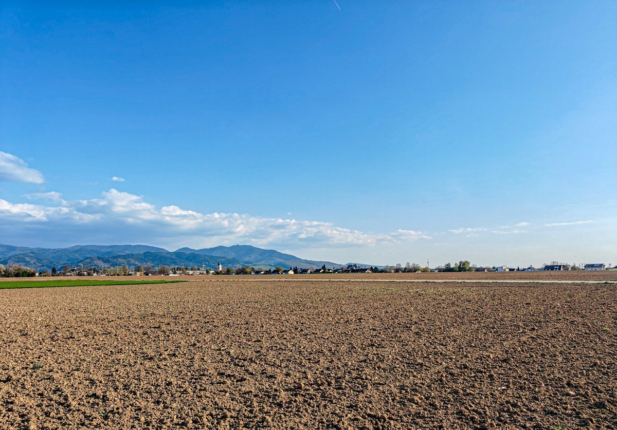春游骑行拍摄（莱茵平原）