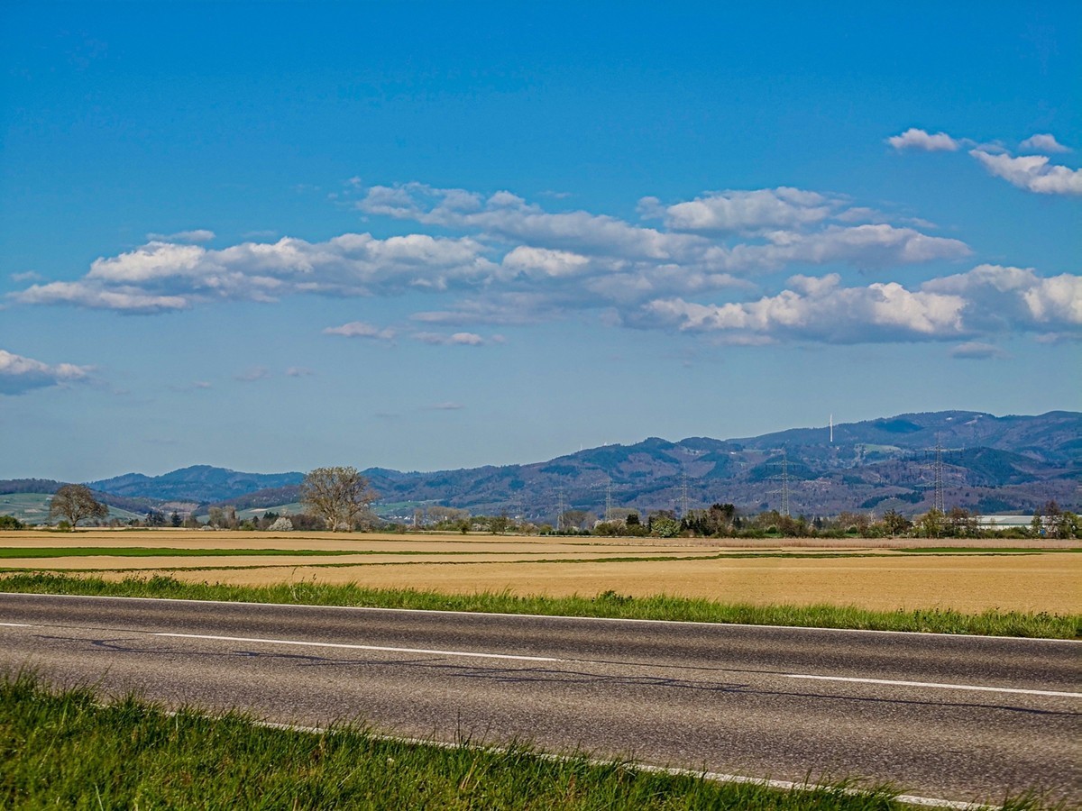 春游骑行拍摄（莱茵平原）