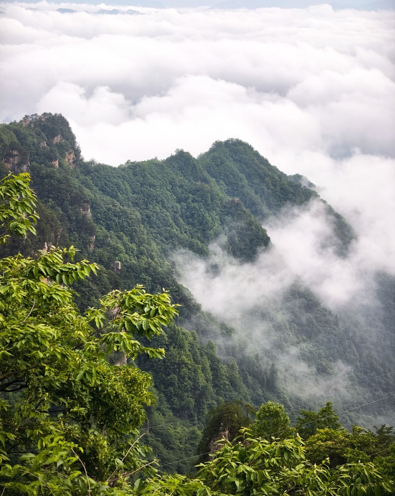 张家界      云雾武陵源（6）----请假帖