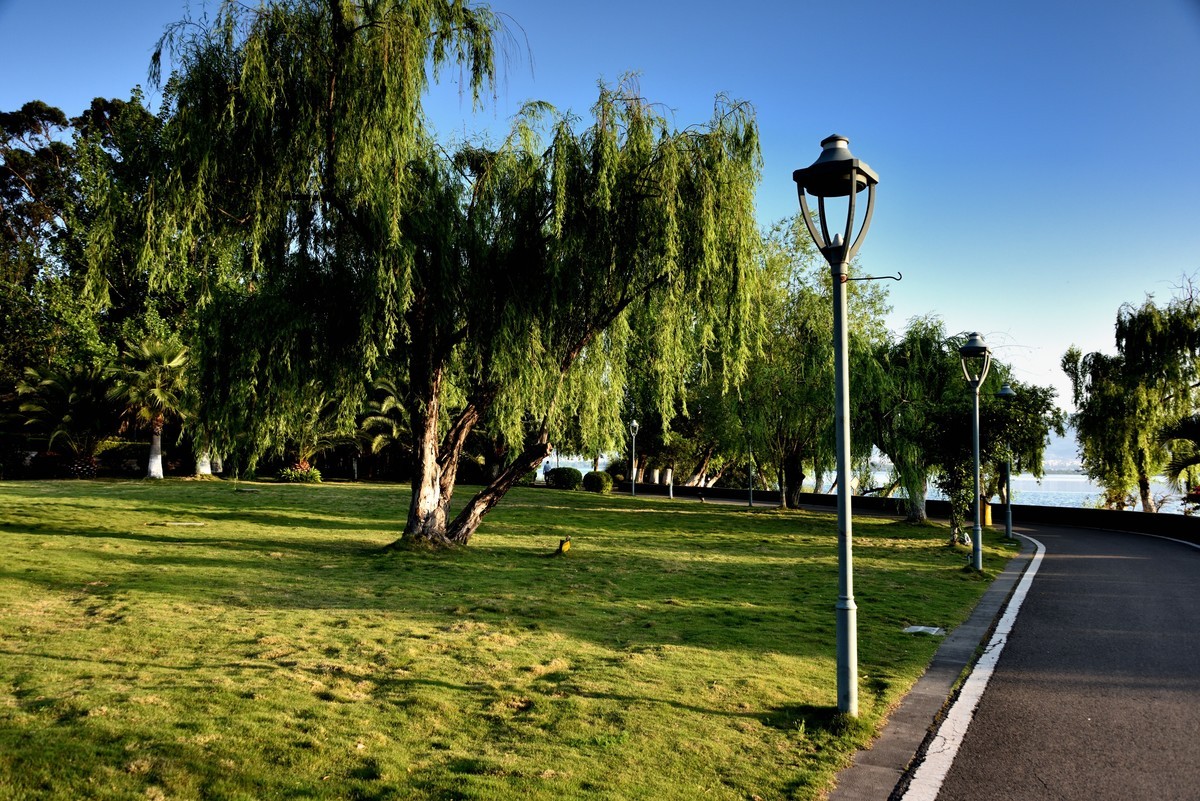 邛海湖畔【13】