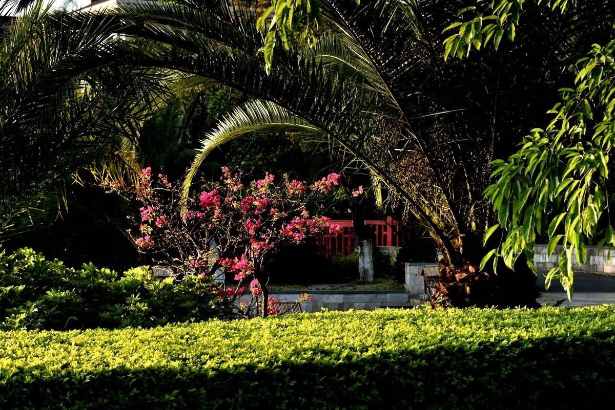 邛海湖畔【13】