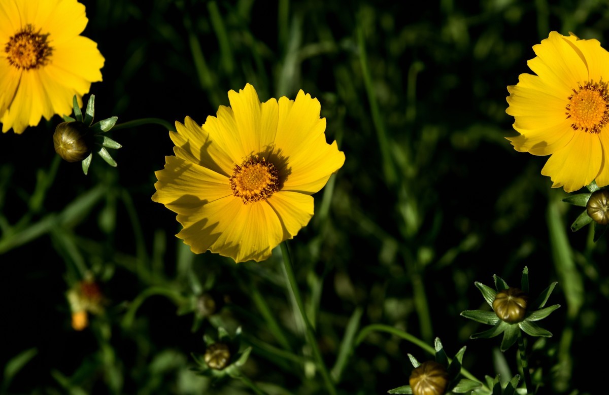 邛海湖畔【13】