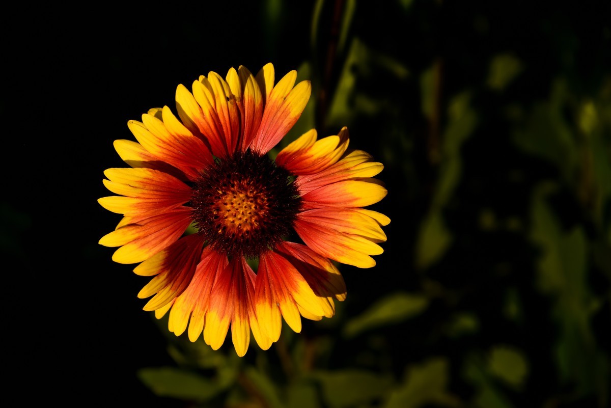 邛海湖畔【13】