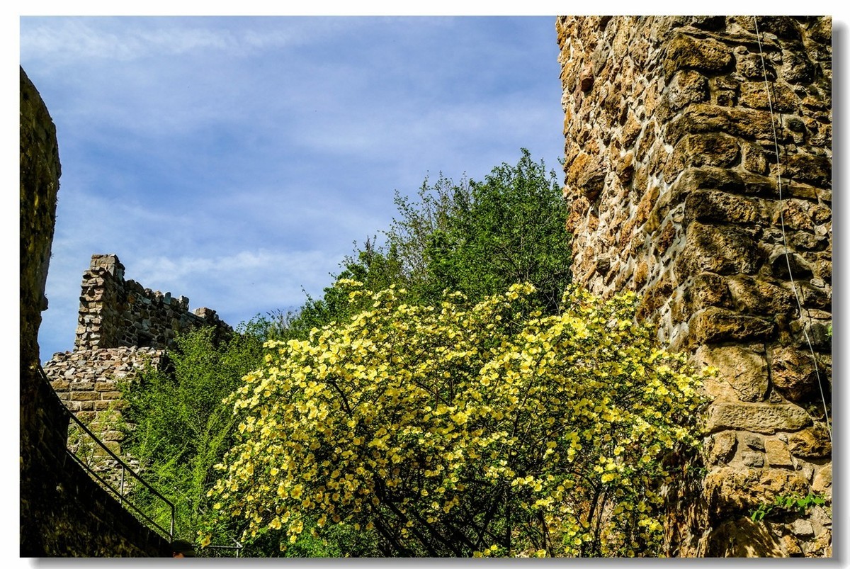 南德名镇--“板凳歪了”（Badenweiler）