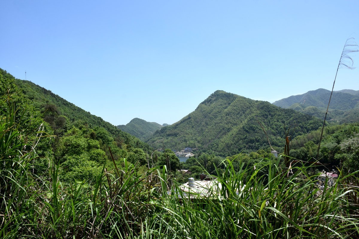 2023春游湘赣边（52）枣木湖湿地【答谢篇】