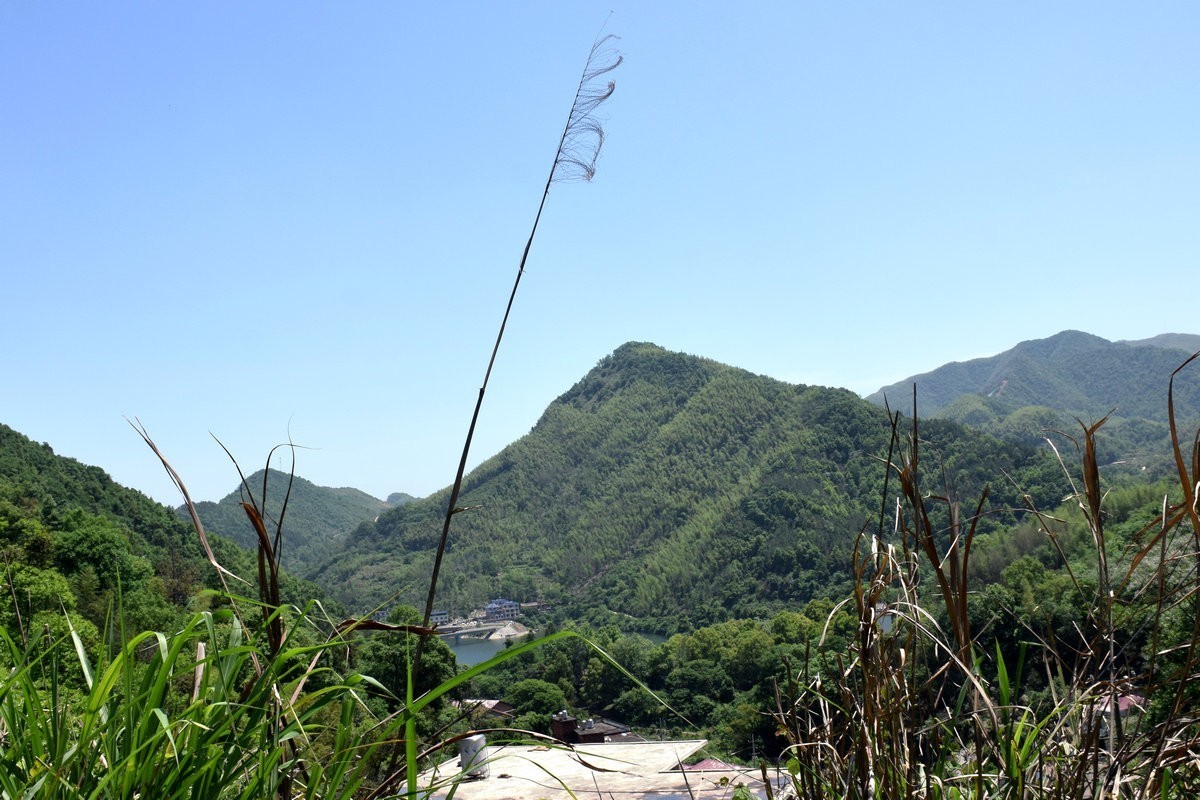 2023春游湘赣边（52）枣木湖湿地【答谢篇】