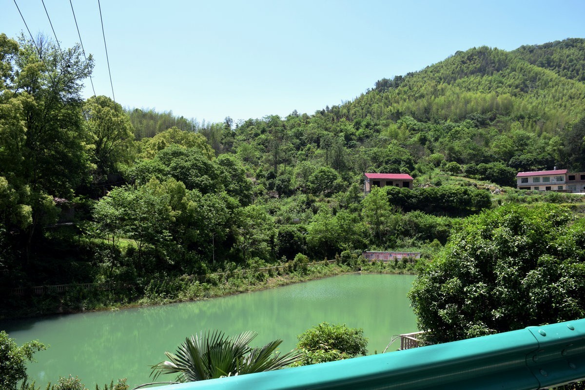 2023春游湘赣边（52）枣木湖湿地【答谢篇】