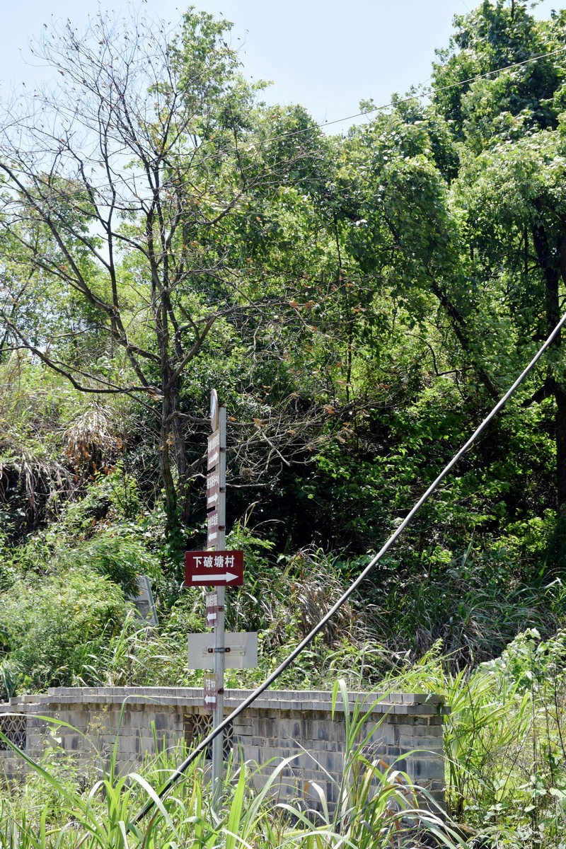 2023春游湘赣边（52）枣木湖湿地【答谢篇】