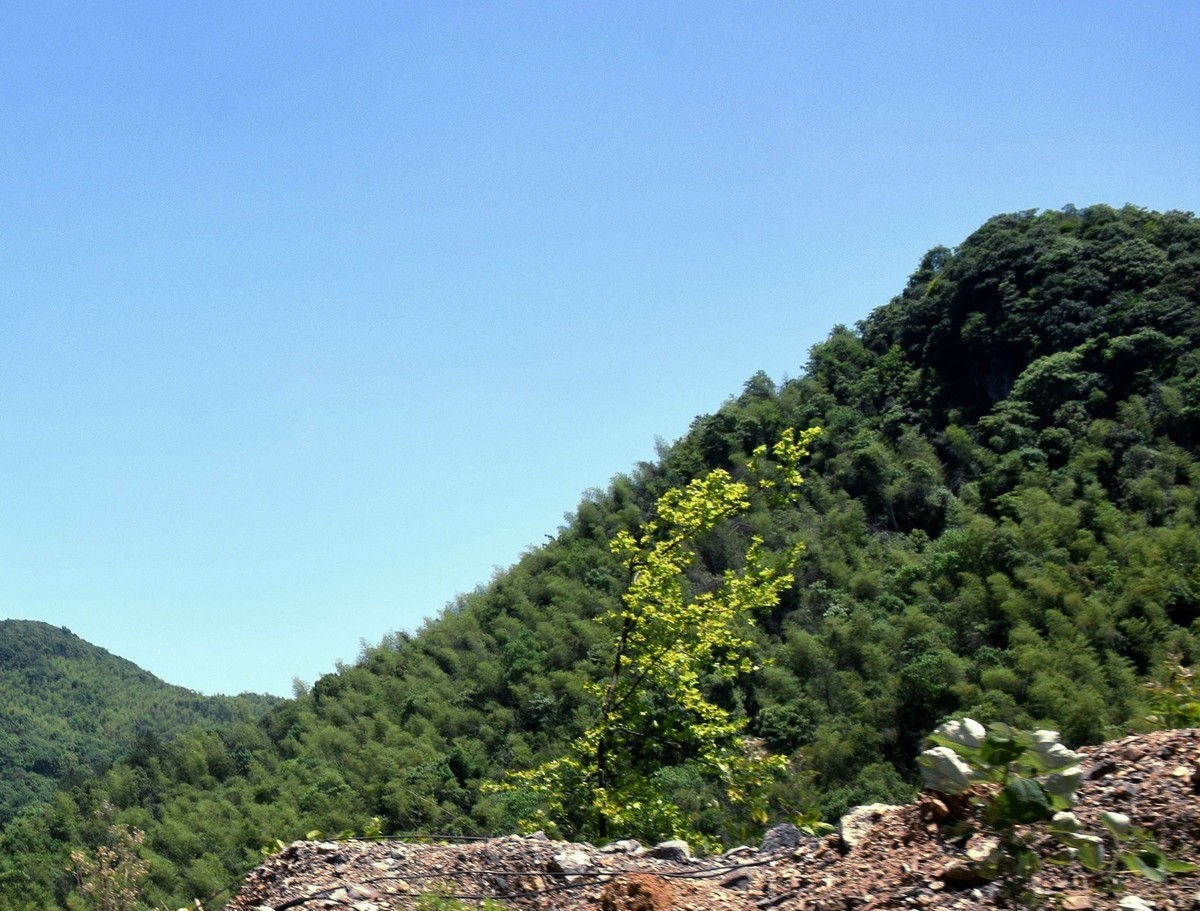 2023春游湘赣边（52）枣木湖湿地【答谢篇】