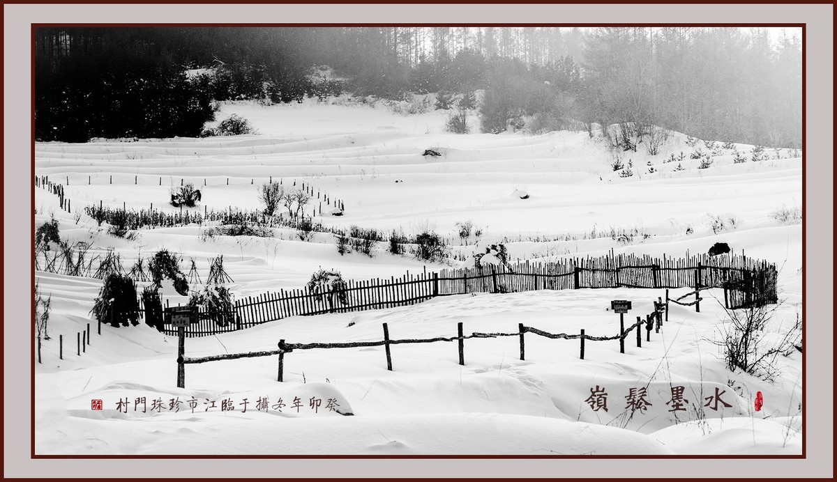 水墨松岭（10）