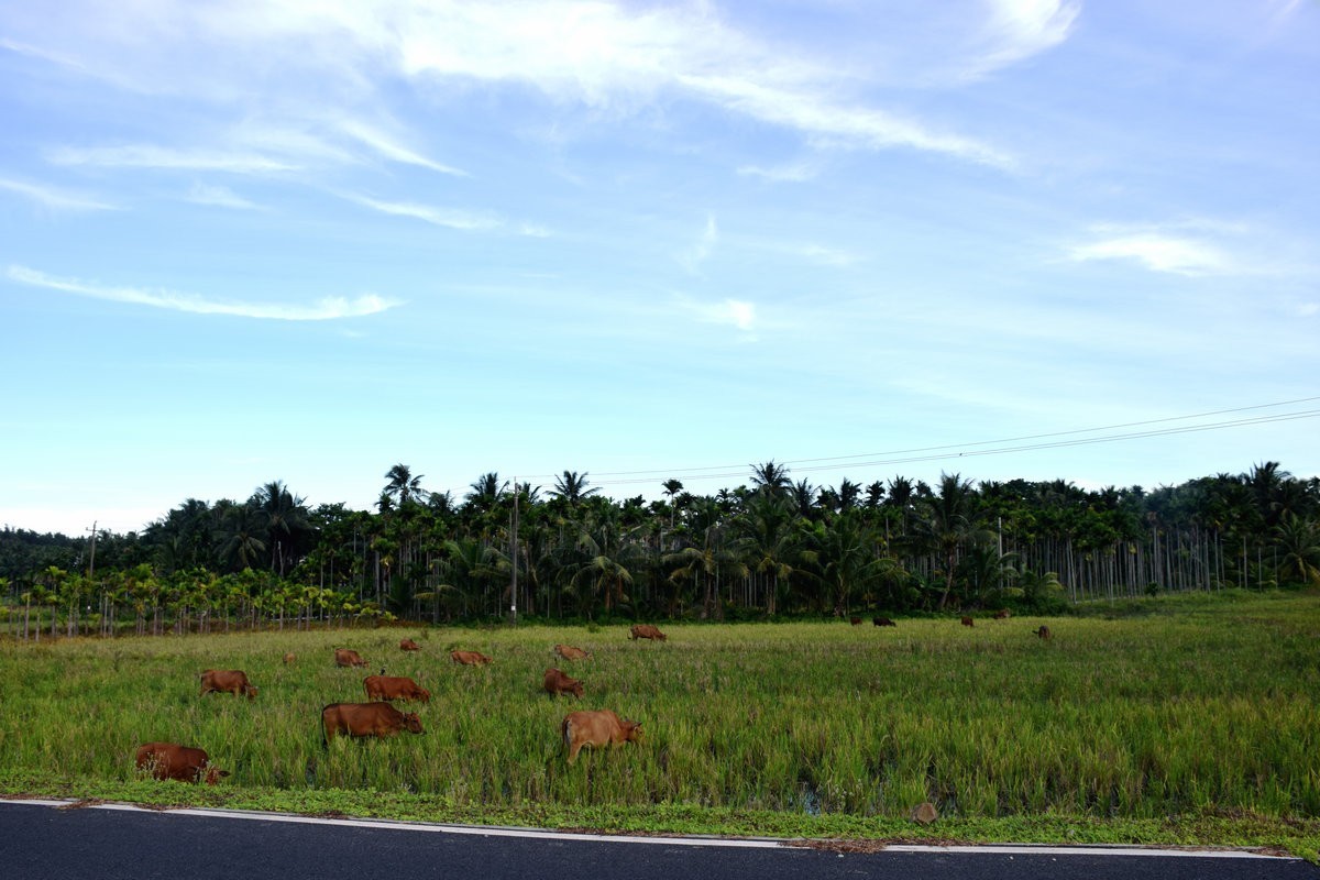2024夏 海南环岛行（60）神州半岛灯塔