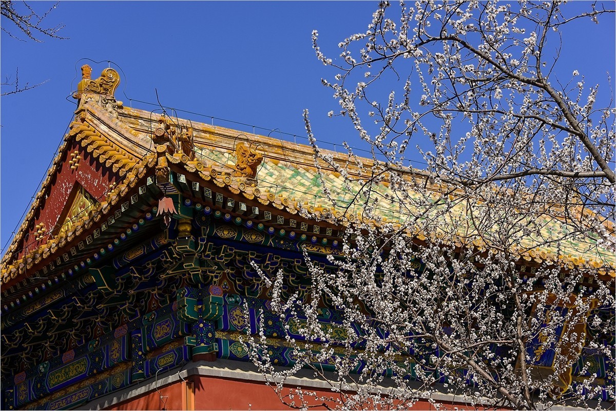 2024年第0655贴-北海公园纪实拍（0830）