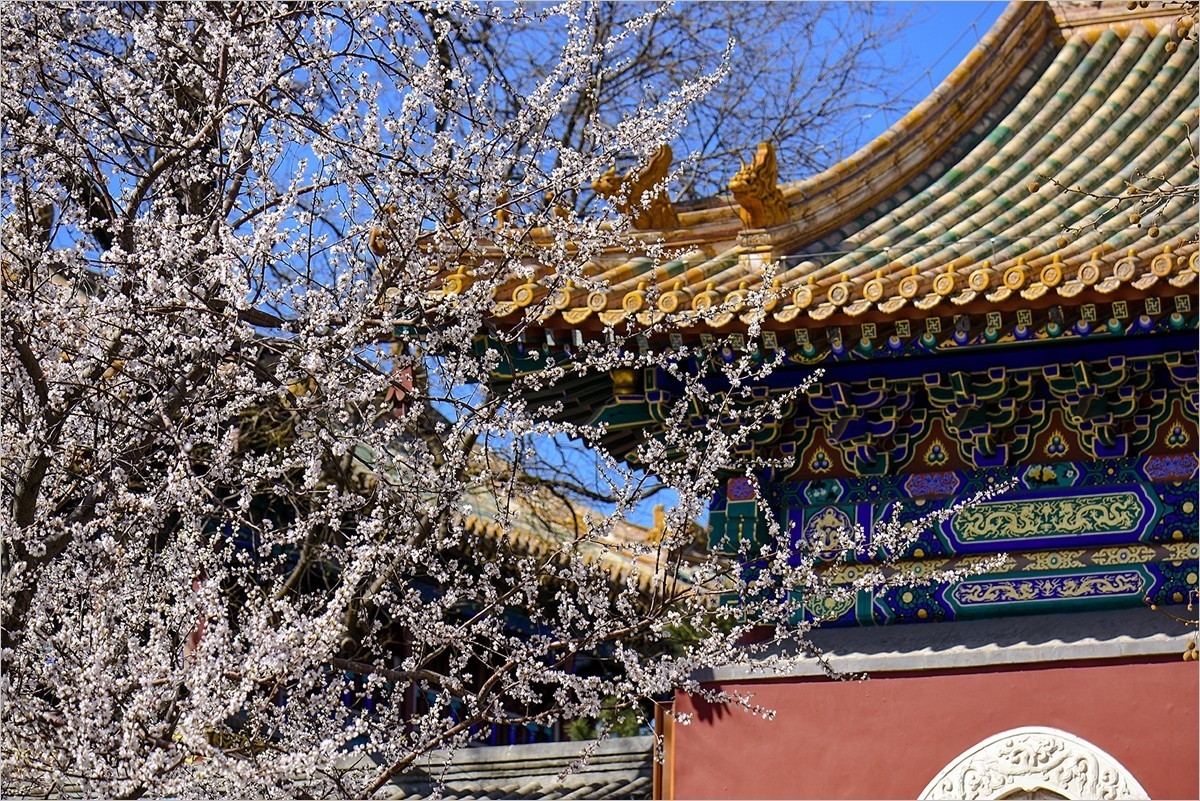 2024年第0655贴-北海公园纪实拍（0830）