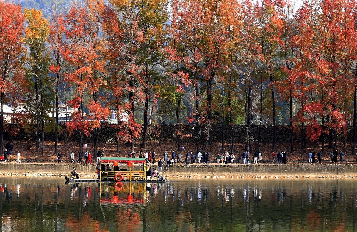 永嘉上塆村红枫古道(7)