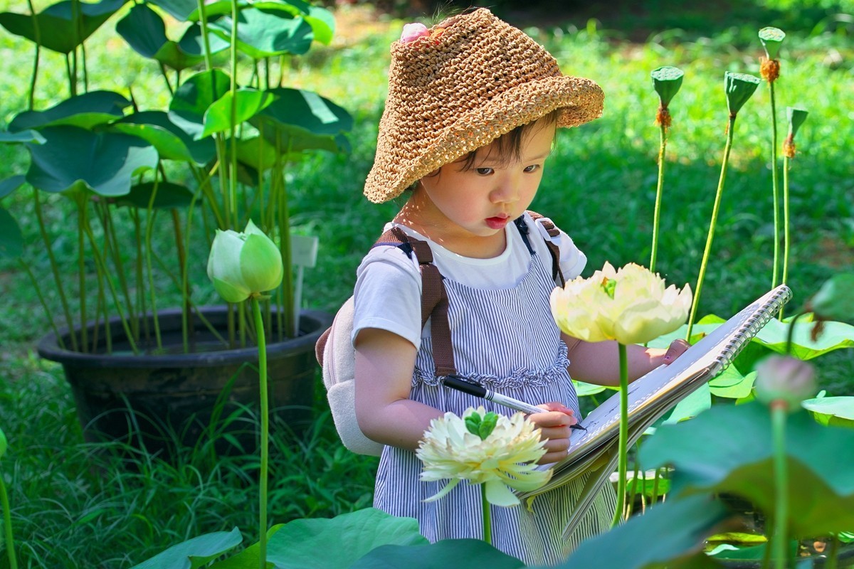 中山植物园荷展随拍