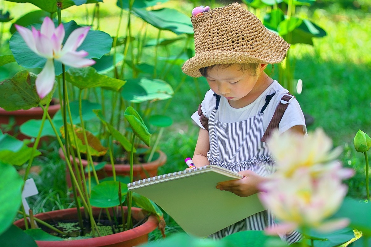 中山植物园荷展随拍