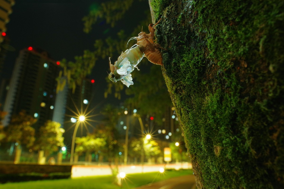 最近拍了很多懒虫子，发来大家看看