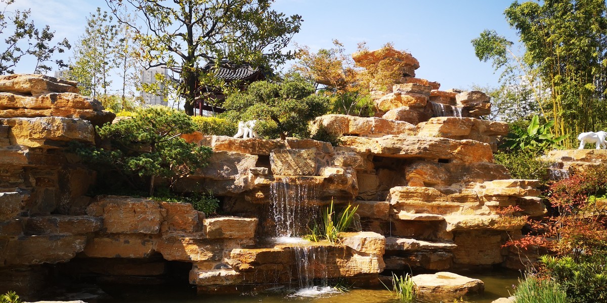 #留住美丽秋天# 上海和平公园