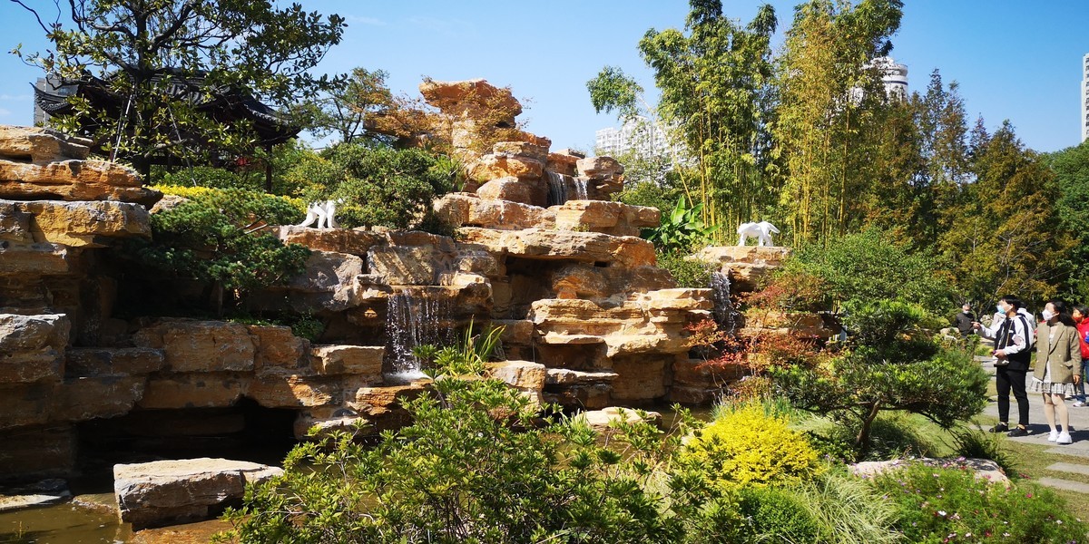 #留住美丽秋天# 上海和平公园