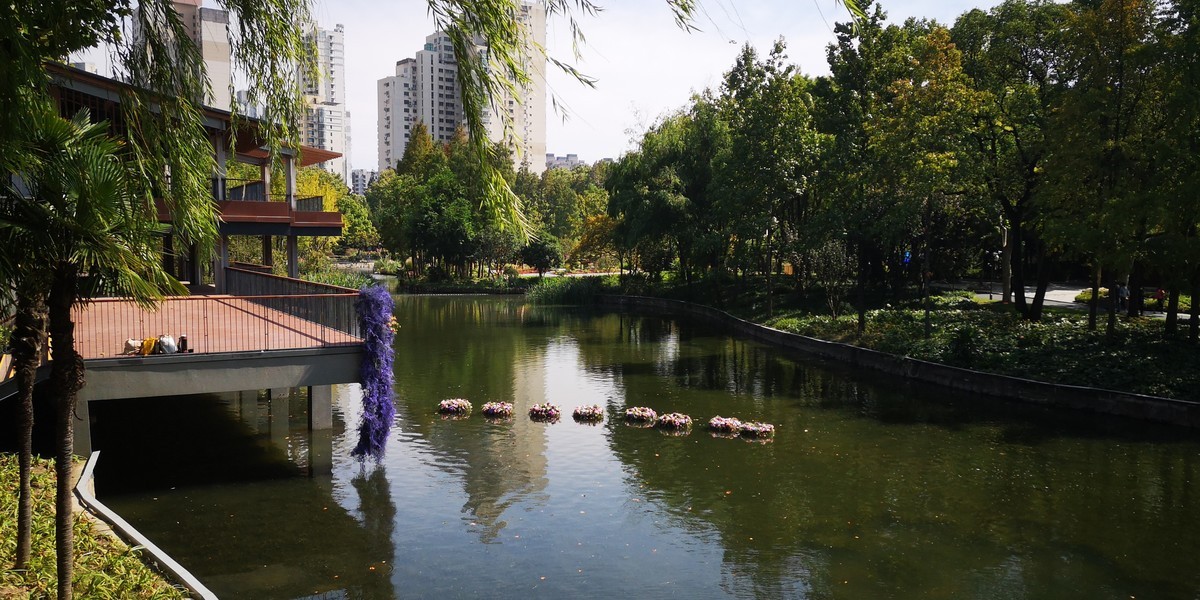 #留住美丽秋天# 上海和平公园