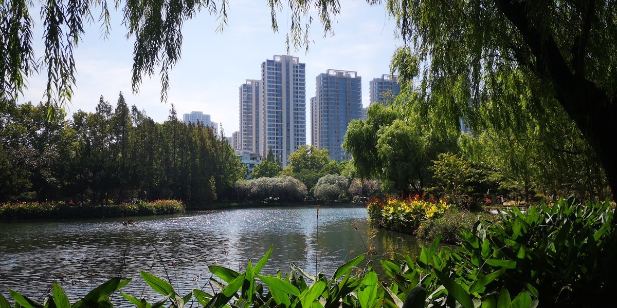 #留住美丽秋天# 上海和平公园