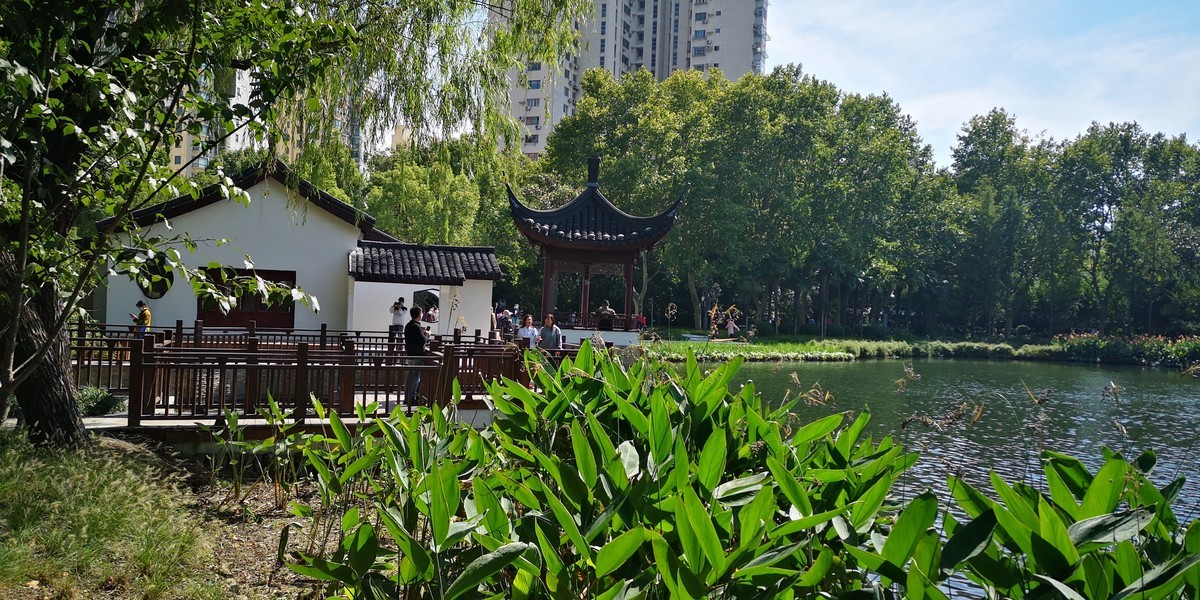 #留住美丽秋天# 上海和平公园