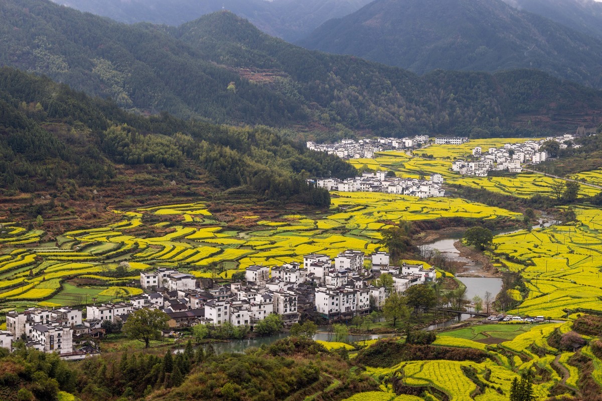 #花开春光寻美景#--春雨中的婺源油菜花