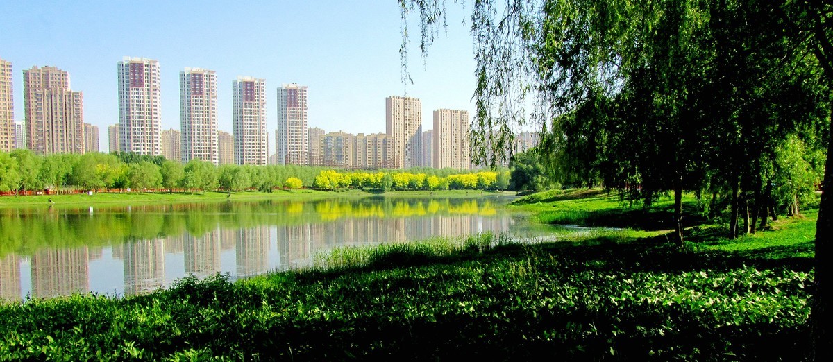 沈阳绿色的蒲河夏日