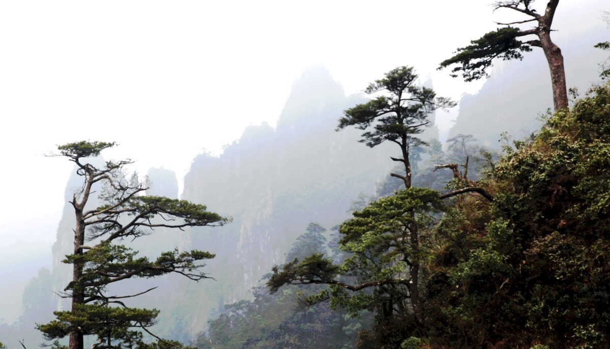 走进郴州莽山览风光