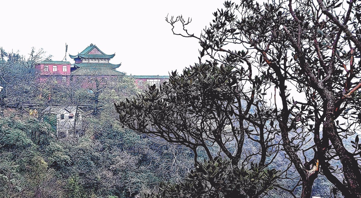 走进郴州莽山览风光