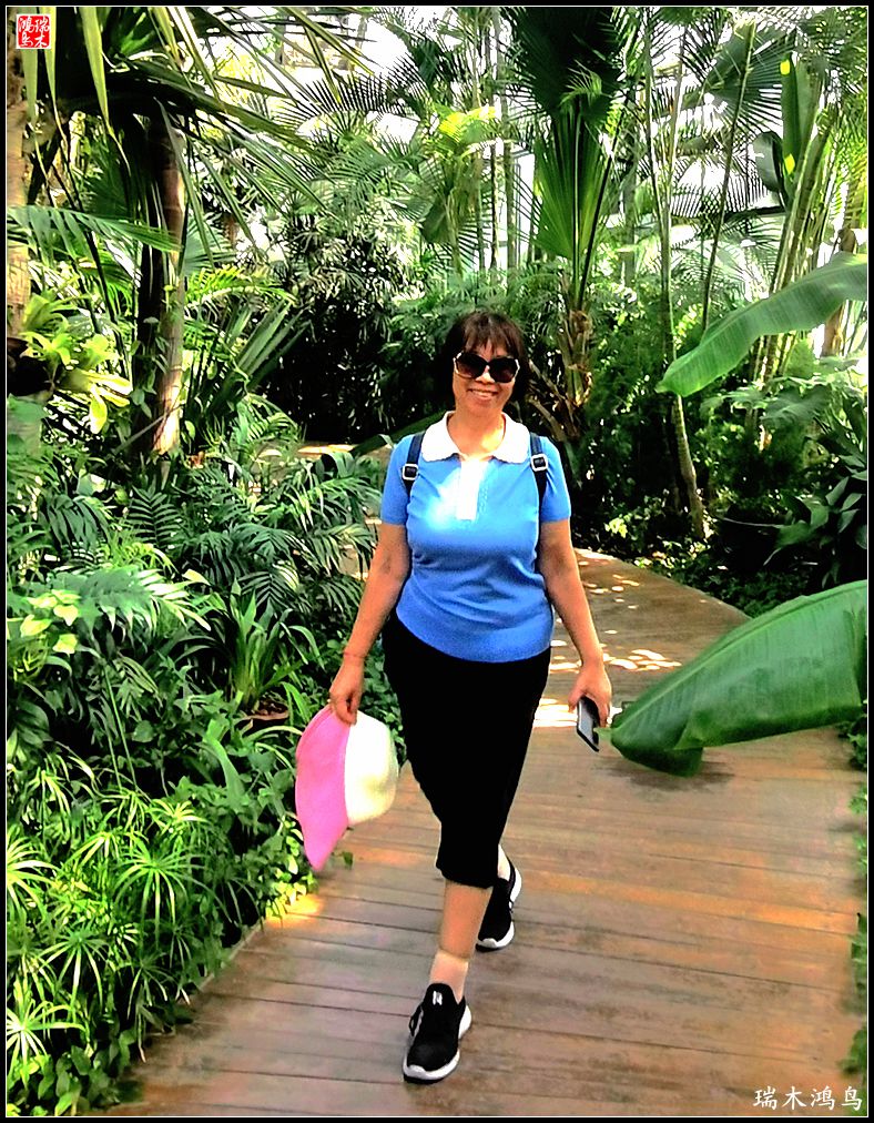 【国家植物园】2.雍容的睡莲款款地绽放