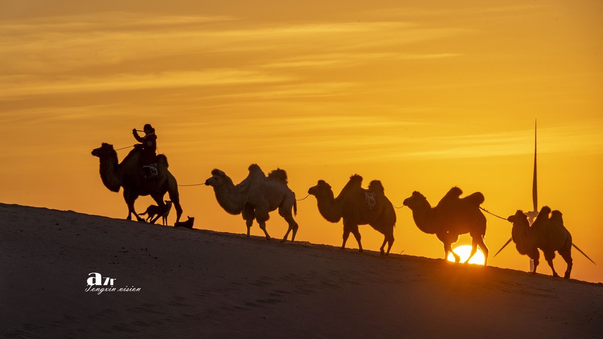 沙漠中的一支驼队（32）